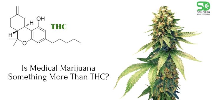 Is Medical Marijuana Something More Than THC_