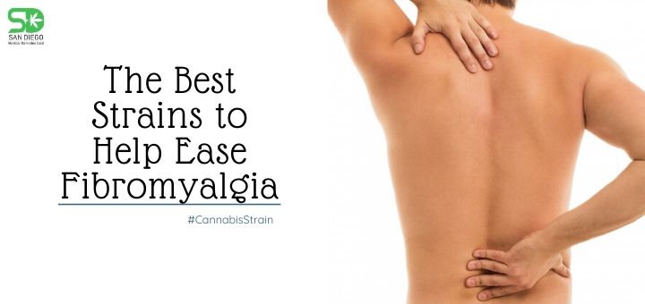 Best Strains to Help Ease Fibromyalgia